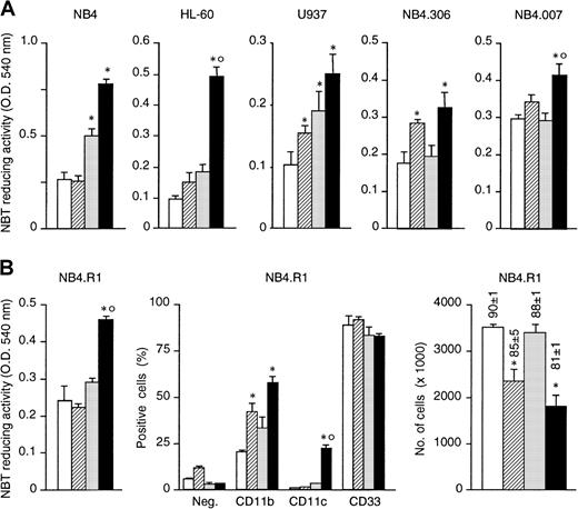 Fig. 3. Effect of STI571 and ATRA alone or in combination on the differentiation and growth of ATRA-sensitive and ATRA-resistant myeloid cell lines. / The ATRA-sensitive NB4, HL-60, and U937 cells as well as the ATRA-resistant NB4-derived sublines NB4.306, NB4.007, and NB4.R1 cells were seeded at an initial concentration of 2 × 105/mL and treated for 4 days with vehicle alone (control, ■), STI571 (▨, 5 × 10−6 M; 1 × 10−5 M in the case of HL-60), ATRA (░, 10−7 M), or the combination of the 2 compounds (▪). (A) The level of NBT-reducing activity was measured in the indicated cell line. (B) The level of NBT-reducing activity (left panel); the percentage of CD11b, CD11c, or CD33 (middle panel); and the total number of viable cells (right panel) were determined in NB4.R1 cells (the percentage of cell viability is shown above columns). Results are the mean ± SD of 3 separate culture dishes and are representative of at least 2 independent experiments. *, significantly lower than the corresponding group treated with medium alone (P < .01 according to the Student t test). °°, significantly higher than the sum of the effects observed in the corresponding STI571- and ATRA-treated groups, following 2-way analysis of variance and measurement of the F of interaction (P < .01 according to Tukey test).