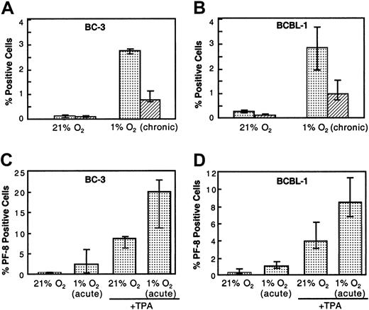 Fig. 1. Effect of chronic hypoxia (1% O2), acute hypoxia (1% O2), and acute hypoxia plus TPA on KSHV intracellular lytic protein expression in BC-3 and BCBL-1 cells 48 to 72 hours after treatment. / Cells were seeded at 300 000 viable cells per milliliter. (A, B) Cells were maintained in either 21% O2 or 1% O2 for at least 3 passages before being used in experiments (chronic exposure). The plotted values for PF-8 (░) and gpK8.1 (▨) expression represent the median of at least 3 independent experiments ± the 25% and 75% quartiles. Exact Wilcoxon rank sum test (unpaired) for panel A: (BC-3, PF-8 21% O2 vs 1% O2) p2 =0 .0012, and (BC-3, gpK8.1 21% O2 vs 1% O2) p2 = 0.016. Exact Wilcoxon rank sum test (unpaired) for panel B: (BCBl-1, PF-8 21% O2 vs 1% O2) p2 = 0.004, and (BCBL-1, gpK8.1 21% O2 vs 1% O2)p2 = 0.028. (C, D) Cells grown in normoxia were incubated in 21% O2 or 1% O2 overnight. They were then exposed to TPA (6.4 nM) or to media control and returned to their respective conditions. The plotted values for PF-8 expression is the median percentage of positive cells for 6 independent experiments ± the 25% and 75% quartiles. Wilcoxon signed rank test (paired) for panel C: (BC-3, PF-8 21% O2 vs 1% O2)p2 = 0.031, and (BC-3/TPA, PF-8 21% O2 vs 1% O2) p2 = 0.031. Wilcoxon signed rank test (paired) for panel D: (BCBL-1, PF-8 21% O2 vs 1% O2) p2 = 0.031, and (BCBL-1/TPA, PF-8 21% O2 vs 1% O2) p2 = 0.031.