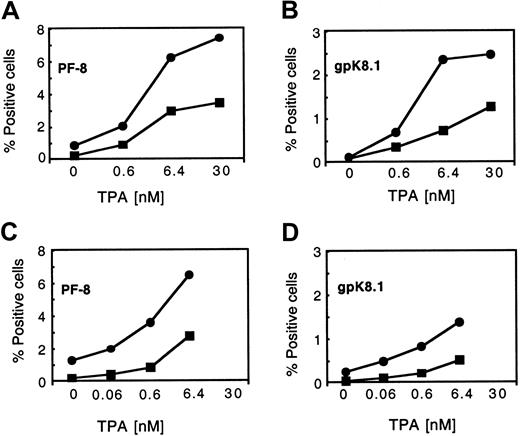 Fig. 2. Dose-dependent expression of PF-8 and gpK8.1 in TPA-stimulated BCBL-1 cells in normoxia and hypoxia (acute and chronic exposure). / BCBL-1 cells that had been cultured in normoxia (21% O2) or hypoxia (1% O2) were seeded at 300 000 viable cells per milliliter and incubated overnight at the indicated conditions. Following the overnight incubation, the cells were treated with increasing concentrations of TPA and maintained at the indicated conditions following TPA treatment for 48 hours. In each panel, the values represent 1 of 2 similar experiments. (A) PF-8 expression in BCBL-1 cells in normoxia (▪) or acute hypoxia (●). (B) gpK8.1 expression in BCBL-1 cells in normoxia (▪) or acute hypoxia (●). (C) PF-8 expression in BCBL-1 cells in normoxia (▪) or chronic hypoxia (●). (D) gpK8.1 expression in BCBL-1 cells in normoxia (▪) or chronic hypoxia (●).