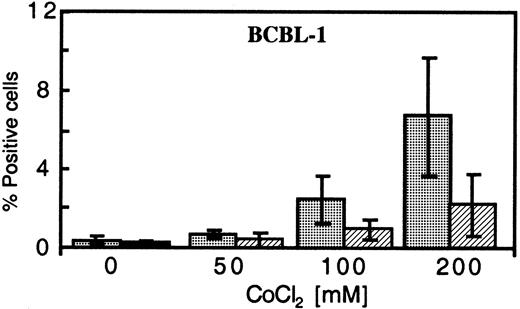 Fig. 5. Dose-dependent expression of PF-8 and gpK8.1 in CoCl2-treated BCBL-1 cells in normoxia. / BCBL-1 cells, treated with increasing concentrations of CoCl2 and harvested 72 hours after seeding, were analyzed for PF-8 (░) and gpK8.1 (▨) protein expression. The plotted values represent the mean percentage of positive cells ± SD of 3 experiments.
