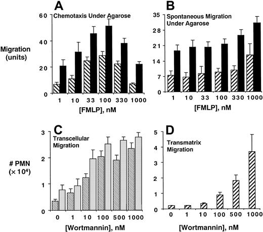 Fig. 1. Inhibition of PMN PI3K promotes transendothelial, transepithelial, and transmatrix migration. / Isolated human PMNs were examined for chemotaxis (A) or spontaneous migration (B) under agarose following pre-exposure of PMNs to vehicle (▪) or wortmannin (▨, 10 nM, 15 minutes, 22°C) toward indicated concentrations of fMLP. Data are derived from 4 separate experiments with results expressed as mean ± SEM distance migrated. In panels C and D, PMNs were pre-exposed to indicated concentrations of wortmannin and assessed for fMLP-stimulated (10−8 M) transmigration across confluent endothelia (▧, C) or epithelia (░, C) or across matrix-coated substrates (D). Transmigrated PMNs were quantified by determination of MPO content following termination of the assay. Data are derived from 8 to 12 monolayers in each condition from at least 3 separate experiments with results expressed as mean ± SEM number transmigrating PMNs .