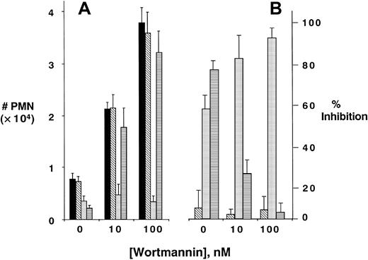 Fig. 2. Role of integrins in PI3K-mediated increases in PMN transmatrix migration. / Isolated human PMNs were pre-exposed to indicated concentrations of wortmannin and/or antibodies (10 μg/mL for each) directed against MHC class I (▪), anti–β1-integrin (▧), anti–β2-integrin (░), or anti–β3-integrin (▤) followed by examination of fMLP-stimulated (10−8 M) transmigration across matrix-coated substrates (A). Transmigrated PMNs were quantified by determination of MPO. Panel B represents data converted to percent inhibition relative to control binding antibody. Data are derived from 9 to 12 monolayers in each condition from at least 3 separate experiments with results expressed as mean ± SEM number transmigrating PMNs .