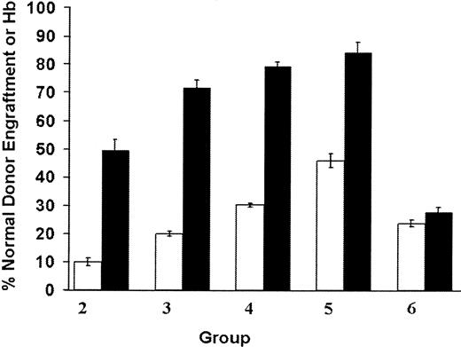 Fig. 1. Amplification of the normal erythroid component in β-thalassemic/normal hematopoietic chimeras. / Cohorts of chimeric mice (group 2, n = 9; group 3, n = 11; group 4, n = 11; group 5, n = 6), characterized by a minority component of normal donor HSC engraftment (indicated by the open bars), demonstrated disproportionately large contributions to erythropoiesis from the genetically normal component of the graft as measured by the percentage of its contribution to total Hb in the PB (indicated by the black bars). Group 6 (n = 6) is a cohort of animals chimeric for 2 different distinguishable normal stem cell components; the data for this group represent the stem cell and erythroid contribution from the same donor cells that were used for the genetically normal component in groups 2 through 5. Data represent the mean values and SEM for each group of animals. Normal donor stem cell engraftment and normal donor Hb levels are significantly different from each other (P < .0001) in groups 2, 3, 4, and 5, but are not significantly different in group 6 (P = .11).