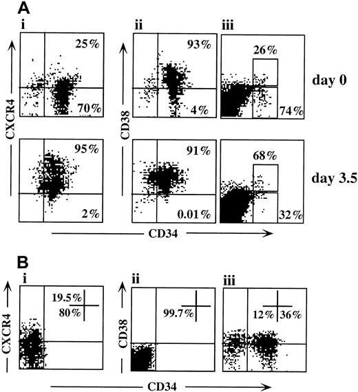 Fig. 2. Cytokine stimulation-induced homing of CD34+CD38+ cells. / (A) G-SCF MPB CD34+-enriched cells were incubated with SCF (50 ng/mL) for 3.5 days. Flow cytometry analyses of CD34/CXCR4 (i) and CD34/CD38 (ii) staining before and after 3.5 days of stimulation are shown. Homing CD34+CD38+ cells in the BM of transplanted mice (iii). A representative experiment of 3 performed is shown. (B) CD34/CXCR4 (i) and C34/CD38 (ii) status of purified CB CD34−CD38−Lin− cells. Enriched CD34−CD38−/low and CD34+CD38−/low cells before transwell migration (iii, see also Table 1).
