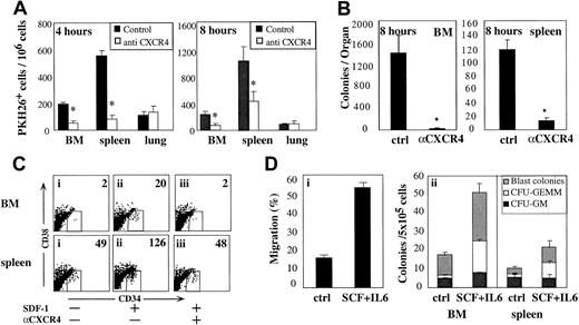 Fig. 4. Selective homing of CD34+ cells in a CXCR4-dependent manner. / PKH26-labeled CD34+ cells were injected into NOD/SCID mice, either untreated or after blocking with 10 μg mAb for human CXCR4 per 106 cells, as indicated. (A) The number of homing PKH26+ cells in the murine tissues 4 and 8 hours after transplantation is shown. Cells from the same organs of noninjected mice were used as a negative control. (B) Human progenitor cells in the BM or spleen of transplanted mice 8 hours after transplantation. Number of human colonies per total BM of one mouse. Data represent mean ± SE from 6 experiments, n = 9 mice/group, *P < .05. (C) Nonirradiated NOD/SCID mice were injected with 1 μg human SDF-1 directly into the BM of the femur (upper panel) or into the spleen (lower panel). Mice were further transplanted immediately with 1 × 106 CD34+ cells/mouse either untreated (ii) or preincubated with antihuman CXCR4 mAb (iii). Noninjected organs were used as a negative control (i). Data indicate number of human cells per 106 acquired cells. A representative experiment from 3 performed is shown. Similar results (P < .05) were obtained in all 3 experiments performed, n = 12 mice. (D) Enriched CD34+ cells were incubated for 48 hours with 50 ng/mL SCF+IL-6 and assayed for migration levels (i). NOD/SCID mice were transplanted with stimulated or unstimulated cells. Murine BM and spleen were harvested 16 hours later and assayed for the growth of human colonies (ii). Data shown is from 4 experiments, n = 8 mice.
