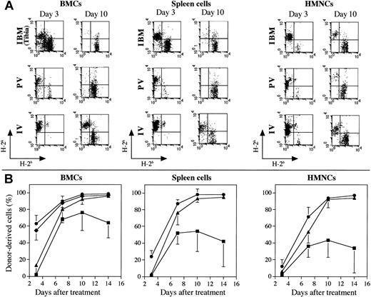 Fig. 2. Percentages of donor-derived cells in MRL/lpr mice treated with 5.5 Gy × 2 + IBM, 5.5 Gy × 2 + PV, or 5.5 Gy × 2 + IV. / (A) Representative dot-plot profiles of BMCs, spleen cells, and HMNCs obtained from MRL/lpr mice 3 or 10 days after the treatment with 5.5 Gy × 2 + IBM, 5.5 Gy × 2 + PV, or 5.5 Gy × 2 + IV are shown. The cells were collected from the recipients and stained with donor (FITC-anti-H-2b)- and recipient (PE-anti-H-2k)-specific mAbs. (B) Kinetic analysis of donor-derived cells. Donor-derived cells in the bone marrow, spleen, and liver (HMNCs) were analyzed at the days indicated on the X-axis after staining with FITC-anti-H-2b and PE-anti-H-2k mAbs. The results are expressed as the mean ± SD of 6 mice. Symbols representing the sites of the injection of BMCs are as follows: ● represent donor-derived BMCs collected from the tibia where the donor BMCs were directly injected, and ♦ show donor-derived BMCs obtained from the femur where the donor BMCs were not injected; ▴ indicates PV, and ▪, IV.