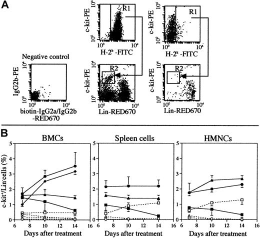Fig. 4. Percentages of donor-derived c-kit+/Lin− cells in MRL/lpr mice treated with 5.5 Gy × 2 + IBM, 5.5 Gy × 2 + PV, or 5.5 Gy × 2 + IV. / (A) A representative dot-plot profile of BMCs (the femur) obtained from MRL/lpr mice 14 days after the treatment with 5.5 Gy × 2 + IBM is shown. The cells were collected from the recipients and stained with FITC-anti-H-2b mAb or FITC-anti-H-2k mAb to detect the donor- or host-derived cells (gated as R1). The cells were then stained with PE-anti-c-kit and biotinated mAbs (anti-CD4, anti-CD8, anti-B220, anti-CD11b, and anti-Gr-1 mAbs) plus streptavidin-RED670. The donor- or host-derived hemopoietic progenitor cells (c-kit+/Lin− cells) were observed (gated as R2), and the percentages of these cells to total cells were calculated, respectively. The FACS profile of the negative control, in which the cells were stained with isotype-matched biotinated-IgG2a/IgG2b plus streptavidin RED670 and PE-IgG2a (instead of PE-anti-c-kit mAb), is also shown. (B) Kinetic analysis of donor- or host-derived progenitor cells. The percentages of donor (closed symbols and straight lines) or host (open symbols and dashed lines) of c-kit+/Lin− progenitor cells in the bone marrow, spleen, and liver (HMNCs) in MRL/lpr mice treated with 5.5 Gy × 2 + IBM (●, ○, tibia; ♦, ⋄, femur), 5.5 Gy × 2 + PV (▴, ▵), or 5.5 Gy × 2 + IV (▪, ■) are shown. The results are expressed as the mean ± SD of 6 mice. Symbols representing the sites of the injection of BMCs are shown next to the right-hand figure. (●) Represent donor-derived BMCs collected from the tibia, where the donor BMCs were directly injected, and the (♦) show donor-derived BMCs obtained from the femur, where no donor BMCs were injected.