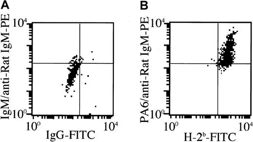 Fig. 5. Generation of donor-derived stromal cell. / The bone pieces without BMCs from MRL/lpr mice 10 days after the treatment with 5.5 Gy × 2 + IBM were cultured for 3 weeks, and the cultured stromal cells were then collected. The cells were stained with anti-PA6 mAb followed by PE-anti-rat IgM, then blocked with normal rat IgM. They were further stained with FITC-anti-H-2Db mAb. Quadrants in the figures were set by the staining profile of the cells treated with isotype-matched Ig controls.