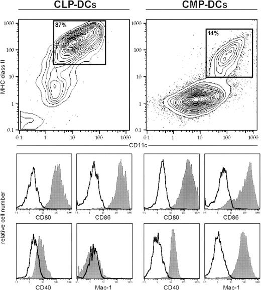 Fig. 2. Phenotypic characterization of in vitro CLP- and CMP-derived DCs. / Cells were cultured as described in “Material and methods.” All cells were stained with anti–MHC class II and anti-CD11c (contour plot) plus 1 or 2 additional markers (histograms) by day 4 (CLP cultures) or day 6 (CMP cultures), respectively. Filled histograms show specific staining, and open histograms show isotype-matched controls of gated population in the contour plot (MHC class II+CD11c+). CLPs and CMPs do not express MHC class II (not shown).