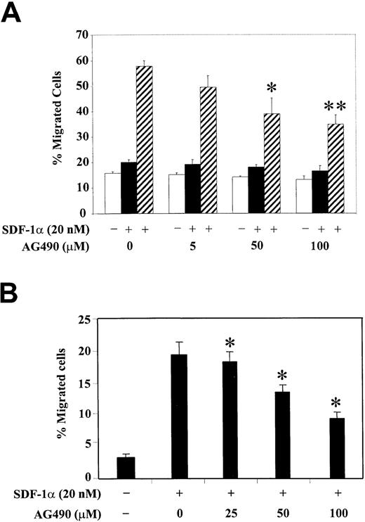 Fig. 6. Inhibition of JAK2 with AG490 decreases SDF-1α–induced migration of CTS cells or CD34+ human bone marrow progenitors. / (A) CTS cells were pretreated with various concentrations of AG490 or control DMSO (0) for 2 hours. The effect of AG490 on cell migration was analyzed in a migration assay in the absence of SDF-1α (■, medium control), in the presence of SDF-1α in both the upper and lower chambers (▪), or with SDF-1α in the lower chamber only (▨). (B) CD34+ human bone marrow cells were pretreated with various concentrations of AG490 or control DMSO (0) for 2 hours. Cell migration in response to medium alone (−) or SDF-1α (+) was measured. Migration is shown as the percentage of cell input. The data represent the mean ± SD of 3 separate experiments performed in triplicate. *P < .05 as compared with control. **P < .01 as compared with control.