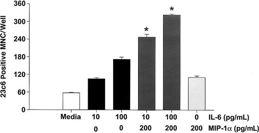 Fig. 6. MIP-1α enhances IL-6 stimulated osteoclast formation in human marrow cultures. / Long-term human marrow cultures were treated with varying concentrations of MIP-1α, IL-6, and a combination of IL-6 and MIP-1α. MIP-1α enhanced the effects of low (10 pg/mL) or high (100 pg/mL) concentrations of IL-6 on osteoclast formation. Results represent the mean ± SEM for quadruplicate determinations for a typical experiment. Similar results were seen in 3 independent experiments (*P < .05).
