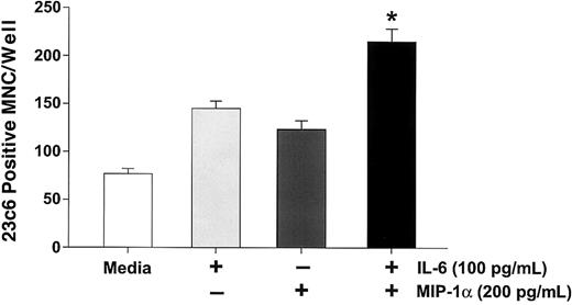 Fig. 7. MIP-1α enhances IL-6–stimulated osteoclast formation in human CFU-GM–derived cell cultures. / CFU-GM–derived cells were prepared and treated with MIP-1α (200 pg/mL) or IL-6 (100 pg/mL) or their combination. Control cultures were treated with 10−8 M 1,25-(OH)2D3. MIP-1α or IL-6 alone significantly stimulated osteoclast formation. However, the combination enhanced osteoclast formation to levels that were greater than either IL-6 or MIP-1α alone. Results represent the mean ± SEM for quadruplicate determinations for a typical experiment. Similar results were seen in 3 independent experiments. *P < .05 compared to IL-6 or MIP-1α alone.