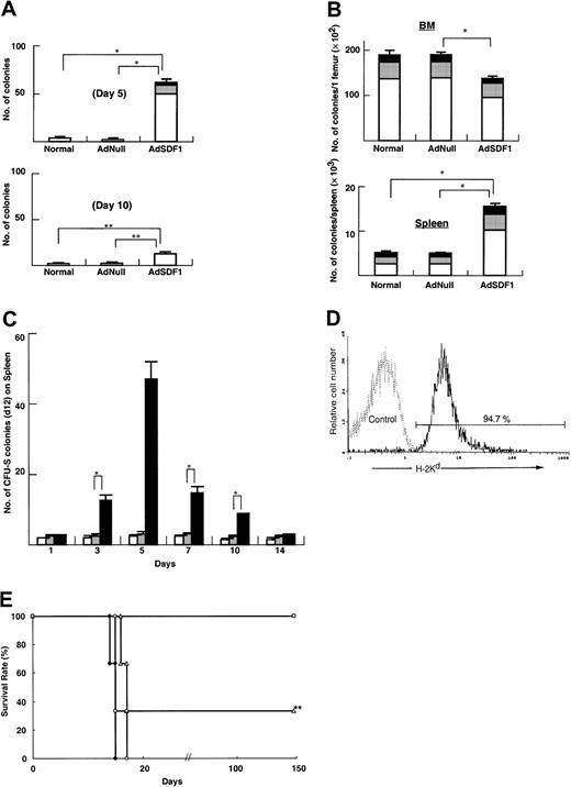 Fig. 4. Effects of AdSDF1 on progenitor and stem cells. / (A) Peripheral blood was obtained from each group on day 5 and day 10 after administration of vector. Cells from BM, spleen, and peripheral blood in these mice were seeded in the colony assays and 3 CFU types were scored: CFU-GM (■), BFU-E (░), and CFU-GEMM (▪). (B) Seven days after adenovirus vector administration, 3 mice in each group were humanely killed, and progenitor content was quantified by methylcellulose-based colony assays. (A) and (B) are expressed as the mean (n = 3) ± SEM. Points that differ significantly from data for AdNull administration on the same day are marked: *P < .005, **P < .05. (C) Effects of AdSDF1 on CFU-S in peripheral blood. Peripheral blood was collected from the orbital plexus and pooled before and 1, 3, 5, 7, 10, and 14 days after the onset of treatment. After elimination of erythrocytes, 1 × 105 MNCs from AdSDF1 (▪) or AdNull (░) or normal (■) SCID were injected to irradiated recipient mice. The spleen of the recipients was obtained 12 days later for spleen colony counting. All data are expressed as the mean ± SEM of 3 to 4 experiments. Asterisk (*) indicates results that differ significantly from data for AdNull administration on the same day: *P < .005. (D) Flow cytometry analyses were done in bone marrow MNCs (BMMNCs) 150 days after allogeneic peripheral blood cell transplantation. BMMNCs were stained with H-2Kd–FITC (donor type). The representative percentages of positive populations in BMMNCs are shown. The data from age-matched normal C57BL/6 mice are also represented as a control. (E) Limiting dilution analysis of PBMNCs after administration of adenovirus vector. Lethally irradiated BALB/c mice were transplanted with serial doses of PBMNCs from AdNull- or AdSDF1-treated SCID mice 5 days after vector administration (■, 1 × 106 PBMNCs derived from the peripheral circulation of AdSDF1-treated mice; ▵, 1 × 105 PBMNCs from ADSDF1-treated mice; ♦, 1 × 104 PBMNCs from AdSDF1-treated mice; ○, 1 × 106 PBMNCs from AdNull-treated mice). Survival rate was monitored until 150 days. We used 6 mice in each group. The result from the 1 × 105 injected group compared with AdNull control group achieves statistical significance (**P < .05).
