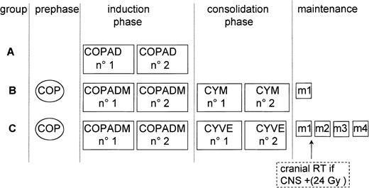 Fig. 1. LMB89 protocol schedule. / Patients were stratified into 3 risk groups: A, B, and C, depending on stage, resection status, percentage of blasts in BM, and CNS involvement. Treatment courses are listed in Table 1.