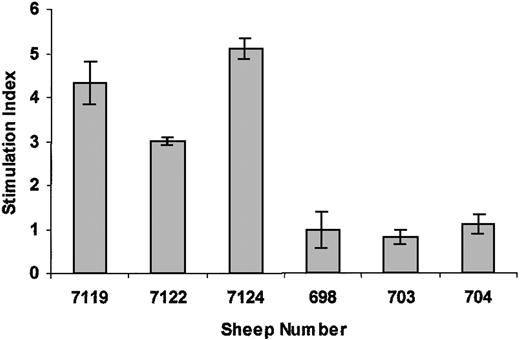 Fig. 3. Lymphocyte proliferative response to autologous G1nBgSvNa8.1-transduced stromal cells. / Freshly harvested PBMCs were cultured for 96 hours in the presence of autologous stromal layers that had been either mock transduced with media alone or transduced with the identical vector employed for the in utero gene transfer studies. Lymphocyte proliferation was then quantitated using a commercially available BrdU proliferation kit as described in “Materials and methods.” Stimulation index is the ratio of the proliferation (BrdU uptake) of PBMCs cultured over transduced autologous stroma to the proliferation of PBMCs cultured over mock-transduced autologous stroma. Sheep nos. 7119, 7122, and 7124 are age-matched control sheep, while sheep nos. 698, 703, and 704 are in utero–transduced sheep.