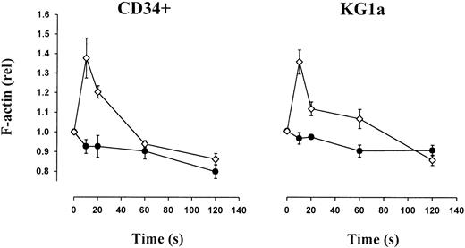 Fig. 3. LTD4-induced actin polymerization in CD34+progenitors and KG1a cells. / Polymerization of cellular actin was assessed by flow cytometry using FITC-conjugated phalloidin. In both CD34+ and KG1a cells, an increase (40%) of polymerized F-actin was observed after addition of 1 μM LTD4; the level of F-actin returned back to the baseline level within 2 minutes. Control, ●; LTD4, ⋄.