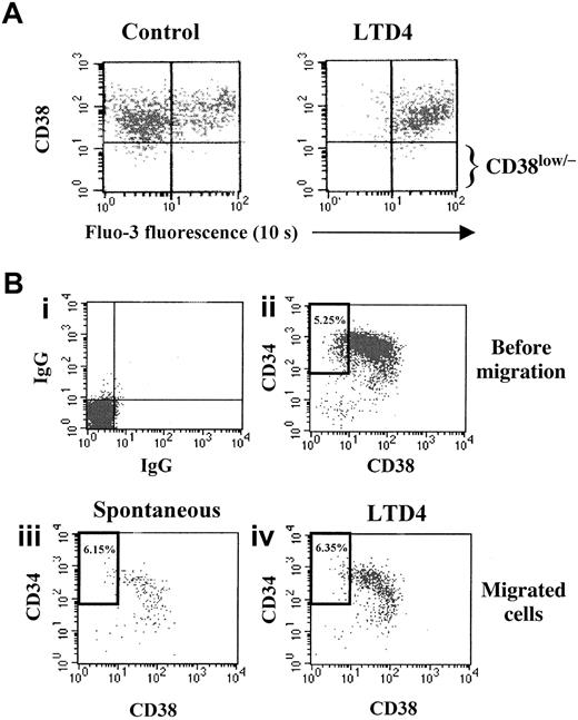 Fig. 5. Effects of LTD4 on immature CD34+/CD38low/− hematopoietic progenitor cells. / (A) Isolated PB CD34+ progenitor cells were loaded with the calcium indicator Fluo-3 and stained with a CD38-PE antibody. Ten seconds after addition of LTD4, a shift of the green Fluo-3 fluorescence was observed due to intracellular calcium mobilization (right panel), which occurred in both CD38+ and more primitive CD38low/− progenitor cells. (B) Analysis of isolated PB CD34+ cells by flow cytometry before and after chemotaxis showed a similar percentage of more immature CD34+/CD38low/− cells (bold rectangular gate) in the starting population (ii, before migration, 5.25%), in spontaneously migrating cells (iii, 6.15%), and in migrated cells attracted by LTD4 (iv, 6.35%). In this particular experiment, a more than 2-fold increase of the migration rate in response to LTD4 (50 nM) was observed. The isotype-specific control is shown in panel i.
