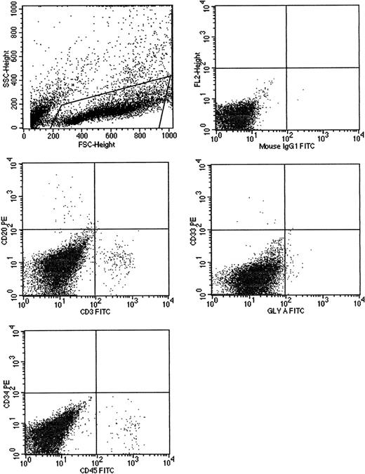 Fig. 3. Cells cultured for 7 AFT024 in noncontact culture with FL + SCF + Il-7 produce multilineage engraftment in tertiary fetal sheep recipients. / CB CD34+ cells (100 000), cultured in AFT024 noncontact culture for 7 days were injected into 4 fetal sheep. Sixty days after transplantation, 2 fetuses were killed and the human CD45+cells pooled and then injected into 3 secondary recipients. These recipients were killed at 60 days, BM pooled, and injected into 3 tertiary recipients. After 60 days, fetuses were killed and the marrow obtained and assessed for multilineage human engraftment by 2-color flow cytometry. Cells were stained with antihuman-CD45, CD20, CD3, CD33, CD34, and glyophorin-A antibodies. Isotype-matched controls are demonstrated in the top right. SSC indicates side scatter; FSC, forward scatter; FL2, fluorochrome 2.