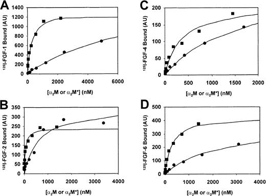 Fig. 2. Concentration dependence of FGF-1, -2, -4, -6 binding to α2M and α2M*. / A total of 15 ng 125I–FGF-1 (A), 125I–FGF-2 (B), 125I–FGF-4 (C), or 125I–FGF-6 (D) was incubated with varying concentrations of α2M (●) or α2M* (▪) for 2 hours at 37°C followed by nondenaturing pore-limit electrophoresis. Radioactivity was quantified on a Phosphorimager and represented by arbitrary units (AU). Binding and lines that represent the best least square fit (R2 > 0.95) are plotted in the figure. The data are representative of 3 (FGF-1 and FGF-6) or 4 (FGF-2 and FGF-4) experiments. Table 1 contains a summary of theKd values derived from these binding experiments.