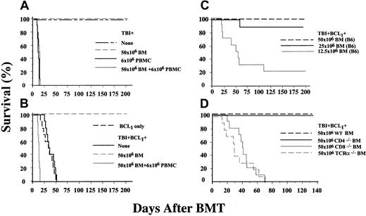 Fig. 1. Survival of sublethally irradiated BALB/c hosts given BCL1tumor cells is markedly improved after wild-type allogeneic BMT. / (A) Survival of control BALB/c mice given irradiation (450 cGy) alone (None) or irradiation and a single intravenous injection of C57BL/6 bone marrow (BM) cells, PBMC, or PBMC and marrow cells. (B) Hosts given an intravenous injection of 0.1 × 106 BCL1tumor cells (BCL1 only) or a single dose of 450 cGy sublethal total body irradiation (TBI) and an injection of tumor cells, 13 days earlier (None). Survival of BALB/c hosts given BCL1tumor cells, sublethal TBI, and bone marrow or PBMC, or PBMC plus marrow cells (BM) cells from C57BL/B6 donors 1 day after TBI is shown in panel B also. (C) Survival of hosts given sublethal TBI, BCL1 cells, and graded numbers of marrow cells from C57BL/6(B6) donors. (D) Survival of BALB/c hosts given BCL1tumor cells, sublethal TBI, and a BMT from wild-type (WT), CD4−/−, CD8−/−, or TCRα−/−C57BL/6 donors. There were 5 or 10 hosts in each group.