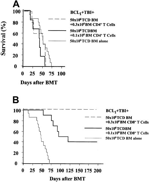 Fig. 2. Survival of sublethally irradiated BALB/c hosts given BCL1 tumor cells is improved by the inclusion of CD8+TCRαβ+ T cells but not CD4+TCRαβ+ T cells in the BMTs. / (A) Survival of hosts given T (Thy-1+)-cell–depleted (TCD) BMTs alone or combined with sorted BM CD4+TCRαβ+ T cells. (B) Survival of hosts given TCD BMTs alone or combined with sorted BM CD8+TCRαβ+ T cells. There were 5 to 15 hosts in each group.