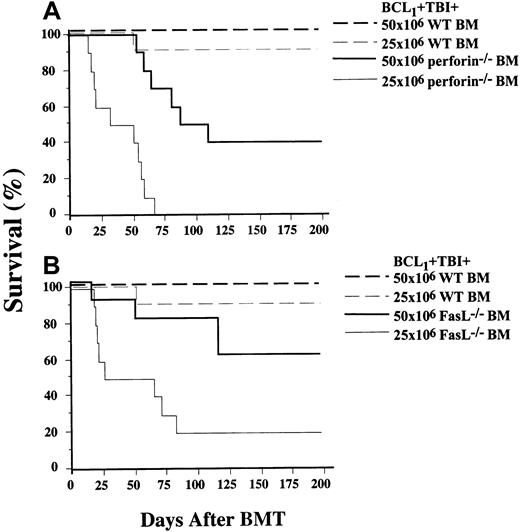 Fig. 3. Improved survival of sublethally irradiated BALB/c hosts given BCL1 tumor cells and a BMT is dependent on the expression of. / perforin and FasL genes.(A) Survival of hosts given BMTs from wild-type (WT) or perforin−/−C57BL/6 donors. (B) Survival of hosts given BMTs from WT or FasL−/− donors. There were 5 or 10 hosts in each group.
