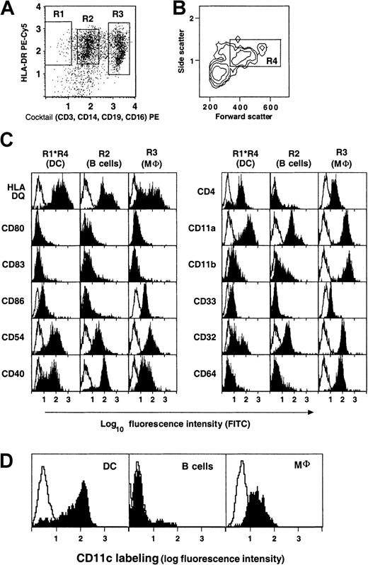 Fig. 1. Surface phenotype of spleen DCs, B lymphocytes, and macrophages by rare event flow cytometry. / Expression of surface molecules on gated DC (R1*R4), B lymphocytes (R2), and macrophages (R3). Gates were defined as follows: R1, Cocktail− HLA-DR+ events; R2, Cocktail+ HLA− DR+ events; R3, Cocktail++ events. The cocktail consisted of anti-CD3, CD14, CD16, and CD19 PE-conjugated antibodies as described in “Materials and methods.” (A-C) Data from donor 103. (D) Preferential expression of CD11c on Cocktail−HLA-DR+ DC. Data from donor 94.