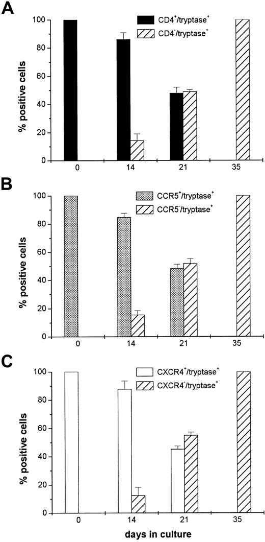 Fig. 3. Reversible expression of CD4, CCR5, and CXCR4. / Sorted CD3−/CD4+/CD117+ in vivo differentiated MCs/basophils from 3 patients with asthma were placed in culture for up to 35 days to assess whether or not these cells can alter their expression of CD4, CCR5, and CXCR4 ex vivo. At each time point, cells were stained with antitryptase IgG and then with either anti-CD4 (A), anti-CCR5 (B), or anti-CXCR4 (C) IgG. The hatched bars indicate the percentage of tryptase+ cells (mean ± SD) that fail to express CD4 or one of the chemokine receptors. The solid bars indicate the percentage of tryptase+ cells that continue to express CD4, CCR5, and CXCR4. Note that none of the tryptase+ cells in the 35-day cultures expressed CD4, CCR5, or CXCR4. Similar findings were obtained when the double-stained cells were first incubated with either antichymase or anti-TMT IgG (data not shown).