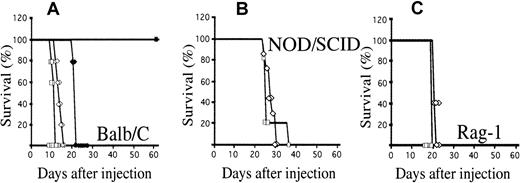 Fig. 2. Ba-P210–ICSBP cells fail to induce leukemia in immunocompetent mice, but remain leukemogenic in irradiated and immunodeficient mice. / (A) A total of 106 Ba-P210 (⋄, ♦) or Ba-P210–ICSBP cells (■, ▪) was injected intravenously into normal (▪, ♦) or sublethally irradiated (450 cGy; ■, ⋄) Balb/c mice. Ten mice were used in each arm. (B) NOD/SCID mice, 5 to 6 mice were used in each arm. (C) Rag-1–deficient mice; 5 mice were used in each arm.