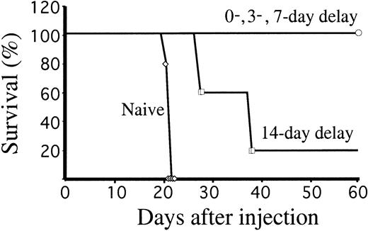 Fig. 4. Ba-P210–ICSBP immunization rescues mice with pre-established leukemia. / Survival of Balb/c mice injected with 106 Ba-P210 cells, followed by 106 Ba-P210–ICSBP cells injected on the same day or after a delay of 3, 7, or 14 days. Control mice (naive) received no Ba-P210–ICSBP cells. Five mice were used in each arm.