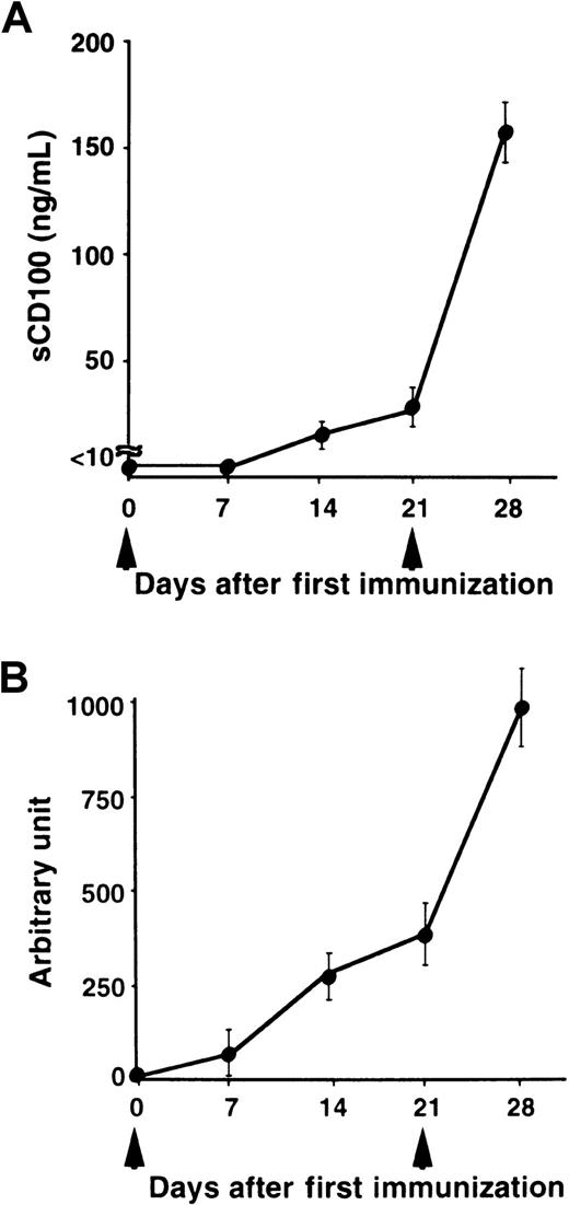 Fig. 4. Serum levels of sCD100 and titers of antibodies in mice immunized with a TD Ag. / C57BL/6 mice (6-8 weeks old) were immunized intraperitoneally with 100 μg of NP-CGG as an alum precipitated complex (n = 5) at day 0, boosted at day 21 (arrowheads), and bled at the indicated days. Concentrations of sCD100 (A) and serum titers of anti-NP antibodies (B) were determined by ELISA. The concentrations of anti-NP IgG1 antibodies were established by comparison with standard curves created from pooled sera of C57BL/6 mice 28 days after immunization. The concentration of anti-NP IgG1 present in a 1:1000 dilution of pooled immune sera of C57BL/6 mice was defined as one arbitrary unit.18