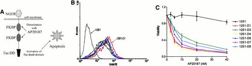 Fig. 2. System used to induce selective apoptosis of 12B1. / (A) Transmembrane fusion protein consisting of a low-affinity nerve growth factor receptor (NGFR) accessible on the cell surface, 2 mutant FK506 binding protein (FKBP) domains, and a Fas death domain (Fas DD) intracellularly. (B) Expression of surface NGFR by stably transfected 12B1 clones. The parental line 12B1 has no expression, whereas clone 12B1-D1 has high levels of NGFR on its surface. (C) Sensitivity of transfected 12B1 clones to increasing concentrations of AP20187. Parental 12B1 cells were found to be resistant to AP20187, whereas transfected clones such as 12B1-D1 were sensitive. Evaluated by MTT assay after 24 hours.