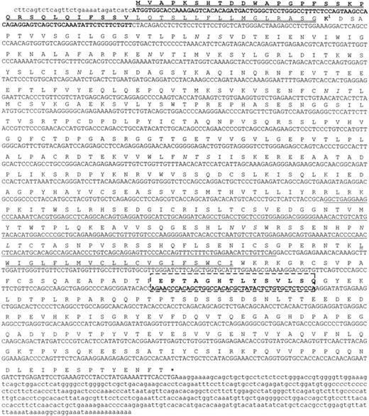 Fig. 1. Nucleotide sequence and predicted amino acid sequence of human Ly-9. / Potential N-linked glycosylation sites are in italics. Signal peptide and transmembrane regions are double underlined. The asterisk indicates the termination codon. The sequence corresponding to the fourth domain is underlined. In box sequence splicing in the cytoplasmic tail. The GenBank accession number of the cDNA clone is AF244129.