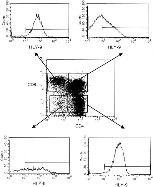 Fig. 5. Ontogeny of human Ly-9 in the thymus. / Flow cytometric analysis of human isolated thymocytes were incubated with biotinylated HLy-9.1.84 mAb, CD4-FITC, and CD8 perCP, then washed and incubated with avidin PE.