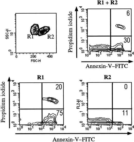 Fig. 2. Setting up the analysis of thymocytes during apoptosis. / Apoptotic cells present distinct side-scatter/forward-scatter features. The R1 gate essentially contains apoptotic cells (defined by annexin V staining). The R2 gate mainly contains living cells.