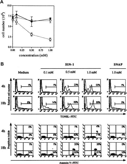 Fig. 3. SIN-1, contrary to SNAP, induces human thymocyte apoptosis. / (A) The total number of cells was significantly reduced by 0.5 nM SIN-1 (■) but not by SNAP (♦) or DEA-NO (○). The results are expressed as the mean numbers of viable cells in 4 different experiments. (B) SIN-1 (0.5 mM) induced apoptosis (TUNEL reaction and annexin V staining) of a large population after as little as 4 hours. Most cells were apoptotic after 18 hours of treatment with 0.5 mM SIN-1. SNAP had no effect after 18 hours of culture. The analysis was performed on the whole population. The data are representative of 4 individual experiments. The percentages in each panel indicate the percentage of TUNEL-positive cells in the upper panel, and percentage of Annexin V–positive cells in the lower panel.