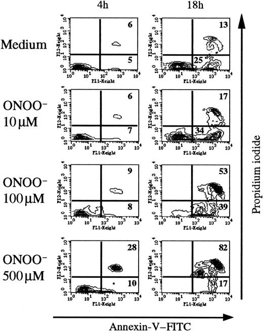 Fig. 4. Chemically synthesized ONOO− induces human thymocyte apoptosis. / Flow cytometric analysis of annexin V staining after 4 and 18 hours of exposure to various concentrations of ONOO−. The percentage of annexin+ cells was time- and concentration-dependent, reaching maximum values (> 80%) at 18 hours with 500 μM ONOO. The analysis was performed on the whole thymocyte population. The data are representative of 3 individual experiments.