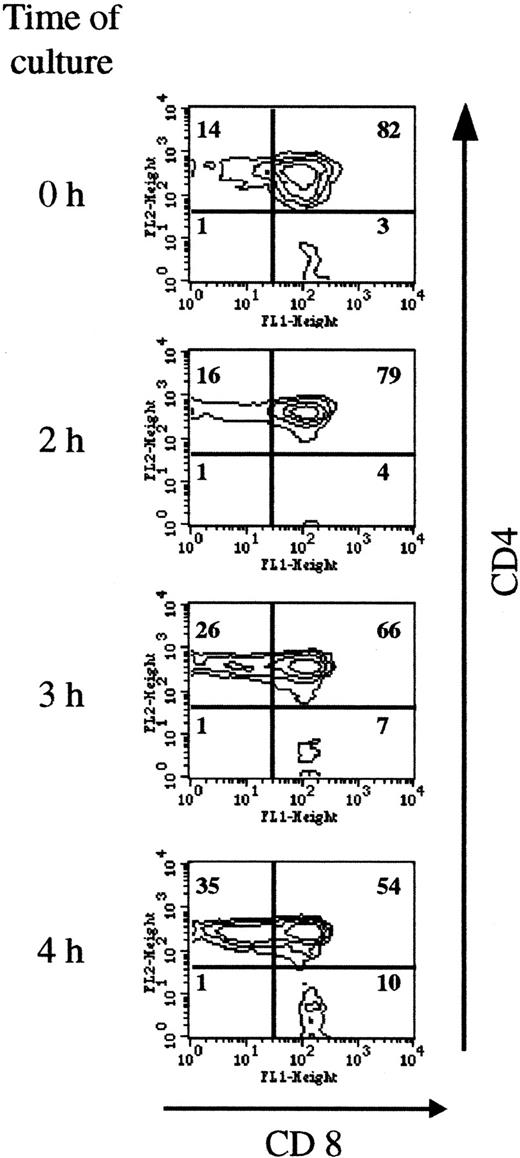 Fig. 6. Double-positive cells are most sensitive to SIN-1–induced apoptosis. / Thymocyte CD4 and CD8 expression was analyzed on the viable cells (R2 gate). The distribution of the populations changed as early as 3 hours, with a fall in the percentage of double-positive cells (from 82% to 54% after 4 hours of treatment) and a corresponding increase in CD4+ and CD8+ cells. The data are representative of 3 individual experiments.