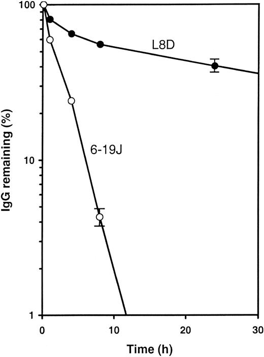 Fig. 7. In vivo clearance of 6-19J and L8D IgG3 mAbs. / Half a milligram each mAb (○, 6-19J; ●, L8D) was injected intravenously into immunoglobulin-deficient μMT mice (3 mice per group). Blood samples were collected at the time points indicated. The amount of each mAb remaining in blood was calculated relative to the value 1 minute after the injection. Error bars (± 1 SD) are shown only on last points; fractional errors of other points are similar or lower.