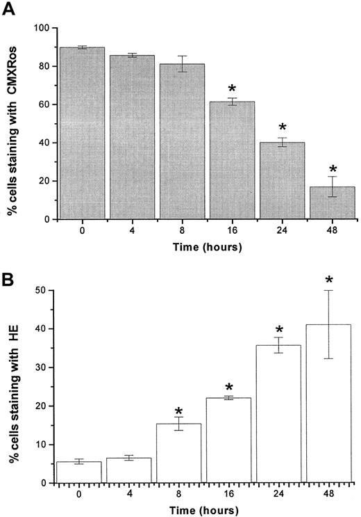 Fig. 4. Time-dependent changes in mitochondrial membrane potential and levels of ROS after imexon treatment. / The loss of mitochondrial membrane potential Δψm (A) and induction of ROS (B) in RPMI 8226 myeloma cells exposed to 180 μM imexon for various time periods. The fractions of cells that have high Δψm accumulate CMXRos, whereas the fraction of cells producing ROS is indicated by the enhanced fluorescence of the oxidized form of HE. Data represent mean ± SE of 3 experiments. The stars indicate statistically significant differences from control untreated cells (P < .05).