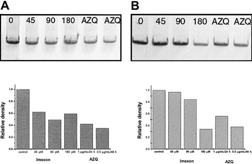 Fig. 7. Semiquantitative PCR of DNA fragments from untreated RPMI 8226 cells and cells treated with various imexon concentrations. / Panel A represents mitochondrial DNA fragments from control cells (0) and cells treated with 45, 90, and 180 μM imexon for 48 hours. AZQ was included as positive control (2.7 μM for 24 or 48 hours; lanes 5 and 6). Panel B represents nuclear DNA fragments from cells treated as above. The corresponding graphs represent relative densities of individual bands analyzed by the Eagle Eye II Video Still System (Stratagene).