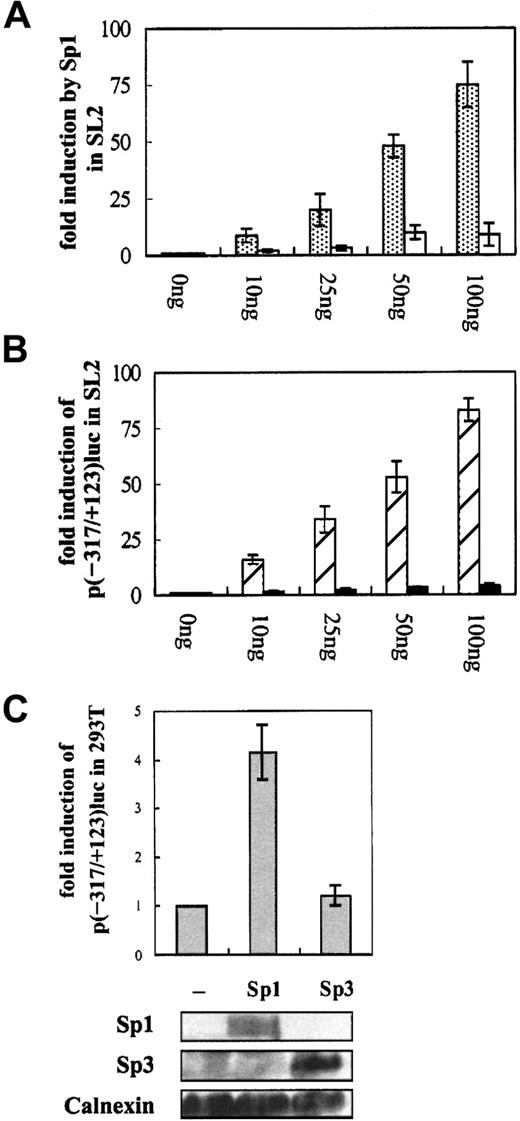 Fig. 2. Sp1 positively regulates the CD99 promoter in. / D melanogaster SL2 cells and in 293T. (A) Activation of the CD99 promoter by Sp1 in D melanogaster SL2 cells. To achieve sufficient protein expression in transient transfection assays, various amounts of Drosophila β-actin promoter-driven Sp1 (pAcSp1) were used. One microgram wild-type promoter construct p(−317/+123)luc (░) or the construct containing mutated Sp1 recognition sites in the promoter, p123mGC (■), was transfected into SL2 cells. (B) Effect of the activation-domain deletion mutant of Sp1 on the CD99 promoter activation. A construct containing either 327 or 168 carboxyl-terminal amino acid residues of Sp1, pPac327C (▨) and pPac168C (▪), respectively, was cotransfected with the wild-type CD99 promoter construct, p(−317/+123)luc. (C) Effects of Sp1 and Sp3 on the CD99 promoter in 293T. The wild-type promoter-luciferase fusion construct, p(−317/+123)luc was cotransfected with expression plasmid for Sp1 or Sp3 into 293T cells. The internal control, 1 μg pBip670CAT, was cotransfected. Transfected cells were prepared in 2 separate ways for luciferase and CAT assay and for Western blot analysis. For luciferase and CAT assay, cells were prepared with passive lysis buffer solution. For Western blot analysis, cells were washed and solubilized in lysis buffer as described in “Materials and methods.” After protein quantitation, the lysates were separated by 10% SDS PAGE and electroblotted onto the nitrocellulose filters. The same filter was hybridized with monoclonal antibodies such as D-20, 1C6, and anti-Calnexin for Sp1, Sp3, and Calnexin, respectively. Relative luciferase activity is expressed as relative activity over the negative control transfection with pcDNA3.