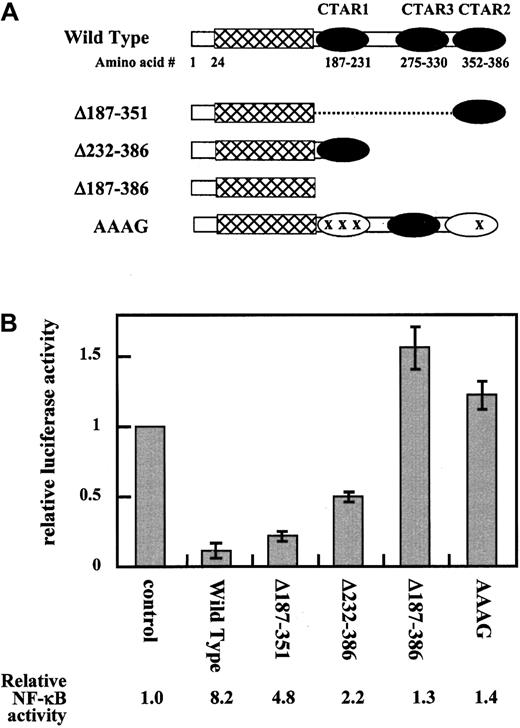 Fig. 4. C-terminal domain of LMP1 is required for its repressive activity. / (A) Diagram of wild-type and mutant LMP1 proteins. The 386-amino acid wild-type LMP1 consists of 3 major regions: a 24-amino acid cytoplasmic N-terminus (■), a transmembrane region (▩), and a 200-amino acid cytoplasmic carboxyl-terminal region. The carboxyl-terminal region can be further divided into 3 CTAR regions (). All the LMP1 point and deletion mutants are described in “Results” in detail. (B) Inhibition of CD99 promoter activity by C-terminal domain of LMP1. Various LMP1 mutants were cotransfected with p(−317/+123)luc to identify the region essential for its inhibitory function. A negative control vector pcDNA3-1-PML, a wild-type pcDNA3-LMP1, pLMP1Δ187-351, pLMP1Δ231-386, and pLMP1Δ187-386, and pAAAG are shown as control, wild-type, Δ187-351, Δ232-386, and Δ187-386 on the x-axis of the graph, respectively. The bar graph is expressed as the relative luciferase activity that is total luciferase activity divided by control transfection after the normalization with CAT activities from cotransfected pBip670CAT. Relative luciferase activity values represent mean ± SD from 3 separate transfections performed with each construct, whereas CAT values are the averages of 2 transfections among them.