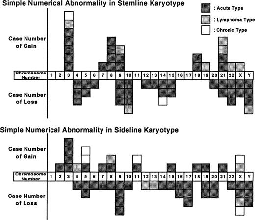 Fig. 1. Numerical chromosomal changes in the stemline and sideline karyotypes (n = 49). / Each box represents one gain or loss.