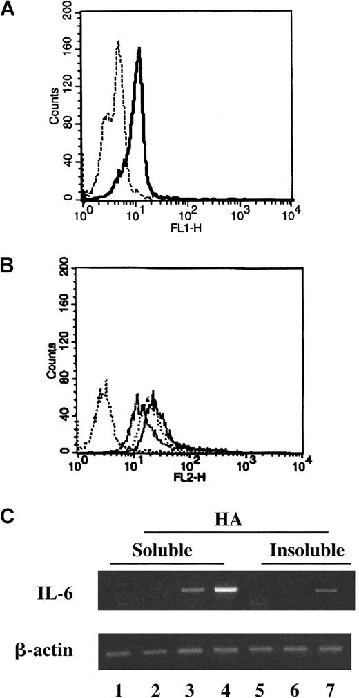 Fig. 3. IL-6 gene expression on peripheral blood PMNs on in vitro stimulation with HA. / (A) Normal freshly isolated PMNs were stained without (dash line) or with FITC-conjugated HA (solid line). (B) PMNs were stained with a PE-conjugated anti-CD44 in the absence (thick, solid, line) or in the presence of 25 μg (dotted line) and 50 μg (thin, solid line) unlabeled HA. The dashed line represents the red fluorescence of PMNs stained with a PE-conjugated, matching, isotype mAb. (C) PMNs were isolated from a buffy coat from a normal donor and stimulated for 18 hours in the absence or presence of logarithmic dose concentrations of soluble HA: 0 μg/mL (lane 1), 1 μg/mL (lane 2), 10 μg/mL (lane 3), and 100 μg/mL (lane 4), as well as linear dose concentrations of immobilized HA: 0 μg/mL (lane 5), 250 μg/mL (lane 6), and 1000 μg/mL (lane 7). Using specific sense and antisense primers, RT-PCR analyzed IL-6 or β-actin gene expression. The figure shows 1 of 3 significant experiments performed with similar results. FL1-H and FL2-H indicate the logarithmic numbers of green and red fluorescence, respectively.