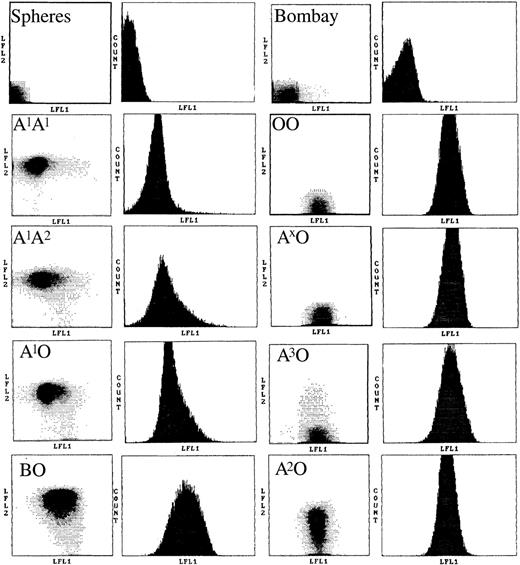 Fig. 1. Dot plots and Ulex fluorescence of healthy individuals as related to their genotypes. / Typical results are presented for red blood cell spheres from 8 ABO genotypes as well as a Bombay individual and a control of unstained spheres. The first panel of each pair shows the 2-color dot plot; the second panel shows the FITC (Ulex) fluorescence only. The Bombay and OO samples were stained with Ulex only whereas the A samples were stained with Helix and Ulex, and the B samples with anti-B and Ulex. LFL indicates log of fluorescence. The LFL1 axis shows Ulex fluorescence and the LFL2 axis shows Helix (A) or anti-B fluorescence as appropriate.