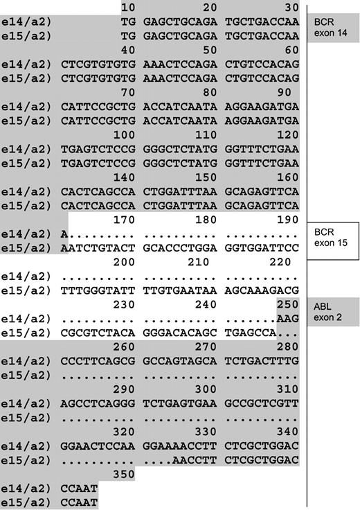 Fig. 1. e15a2 sequence. / Alignment of a sequence obtained from a junction e14/a2 found in the cell line K562 (first line) and the atypical e15/a2 sequence obtained from patients (second line). (GenBank acession number GI7406986.)