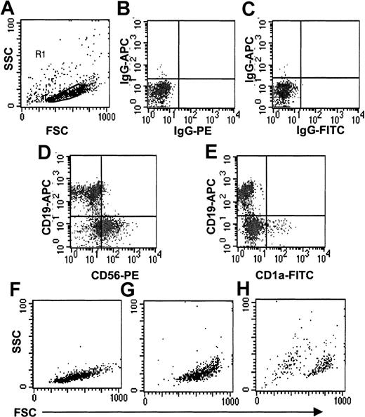 Fig. 3. FACS analysis of lymphoid cultures generated from CD34+CD38−lin−CD7+cells. / Three hundred cells were cultured in B-lymphoid conditions for 20 days, then switched to NK conditions (in IL-15) and cultured for another 14 days. (A) Total culture showing R1 gate. (B-E) Analysis of cells from R1 gate. Size (FSC) and side scatter (SSC) of (F) CD19+CD56− B cells, (G) CD19−CD56+ NK cells, and (H) CD19−CD1a+ dendritic cells gated from quadrants shown in (D) and (E).