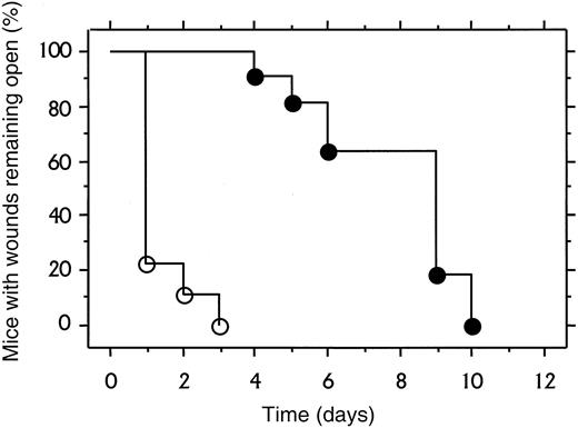 Fig. 6. Time course of excisional wound closure in control and Fib−/− mice. / Cohorts of 11 control mice (open symbols) and 9 Fib−/−mice (closed symbols) were assessed daily for wound closure as defined as stable covering or eschar over the wound field.