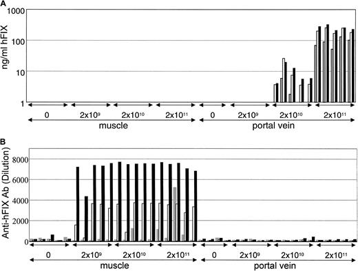 Fig. 1. Impact of route of administration of AAV-hFIX on hFIX expression. / Increasing doses, 2 × 109 vp, 2 × 1010vp, and 2 × 1011 vp of AAV-hFIX were administered to C57Bl/6 mice via cannulization of the portal vein or by direct injection into the quadriceps muscle. Sera were harvested from the animals 11 (gray bars), 25 (white bars), and 41 (black bars) days after vector administration and analyzed for the presence of hFIX (upper panels) and anti-hFIX antibodies (bottom panels).